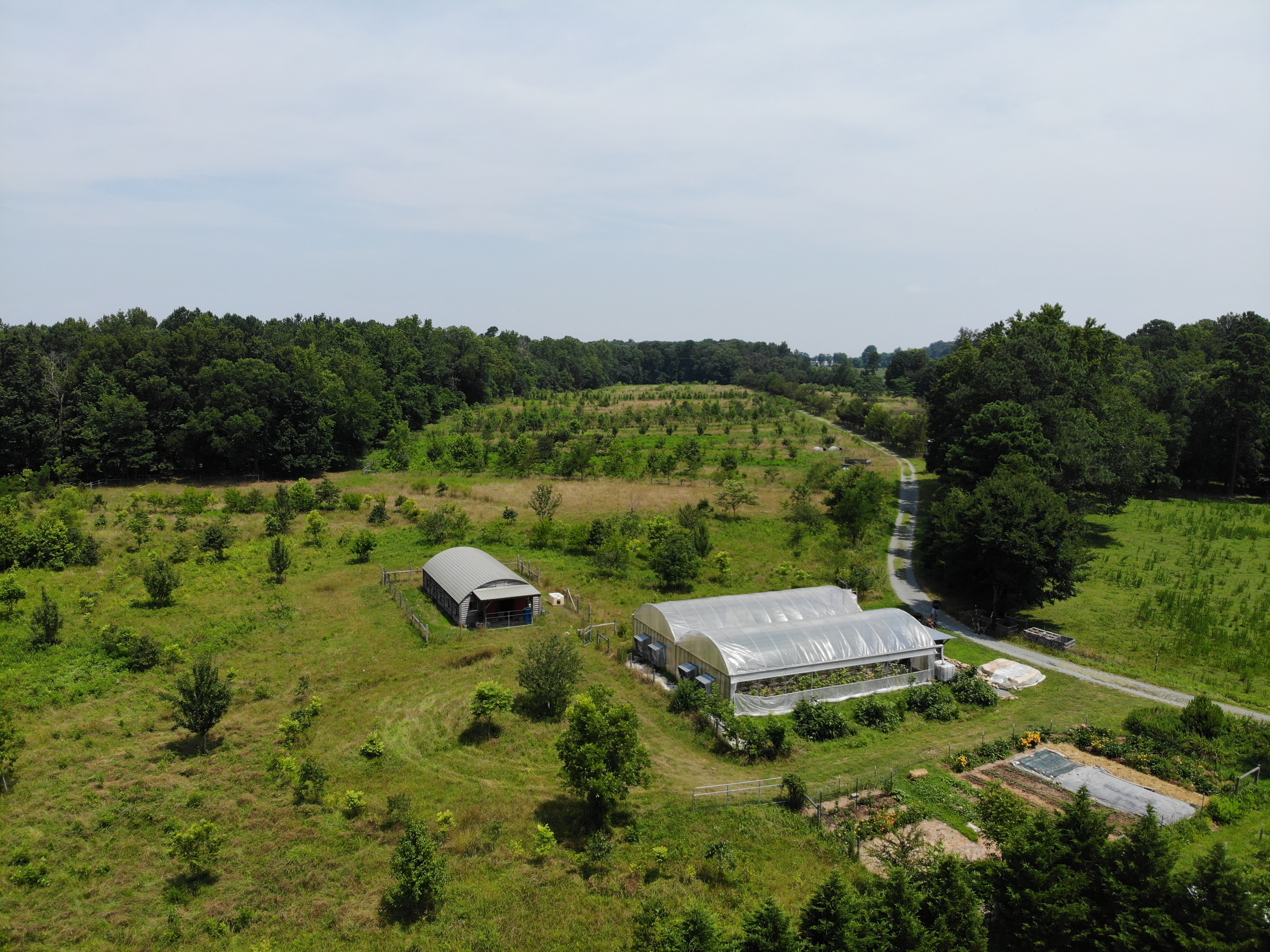 Aerial view of a regenerative farm in the North Carolina Piedmont